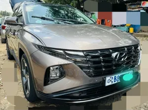 Hyundai Tucson Limited 2021 Gray