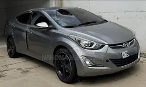 Photo - Hyundai Avante 2014 Gray