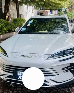 Photo - BYD Song Plus DM-i 2025 Off white