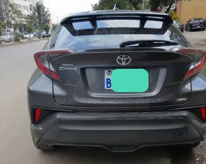 Toyota C-HR 2019 Gray