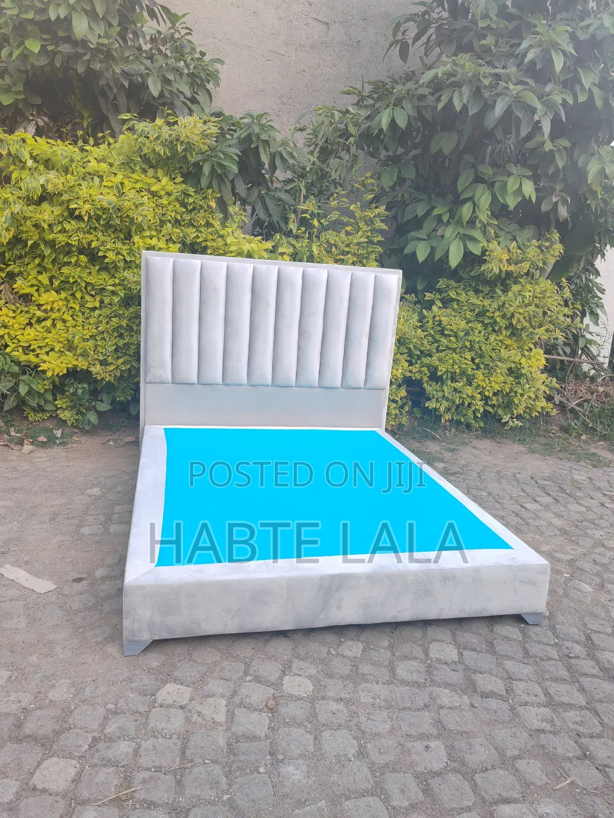 Alga Bed አልጋዎች