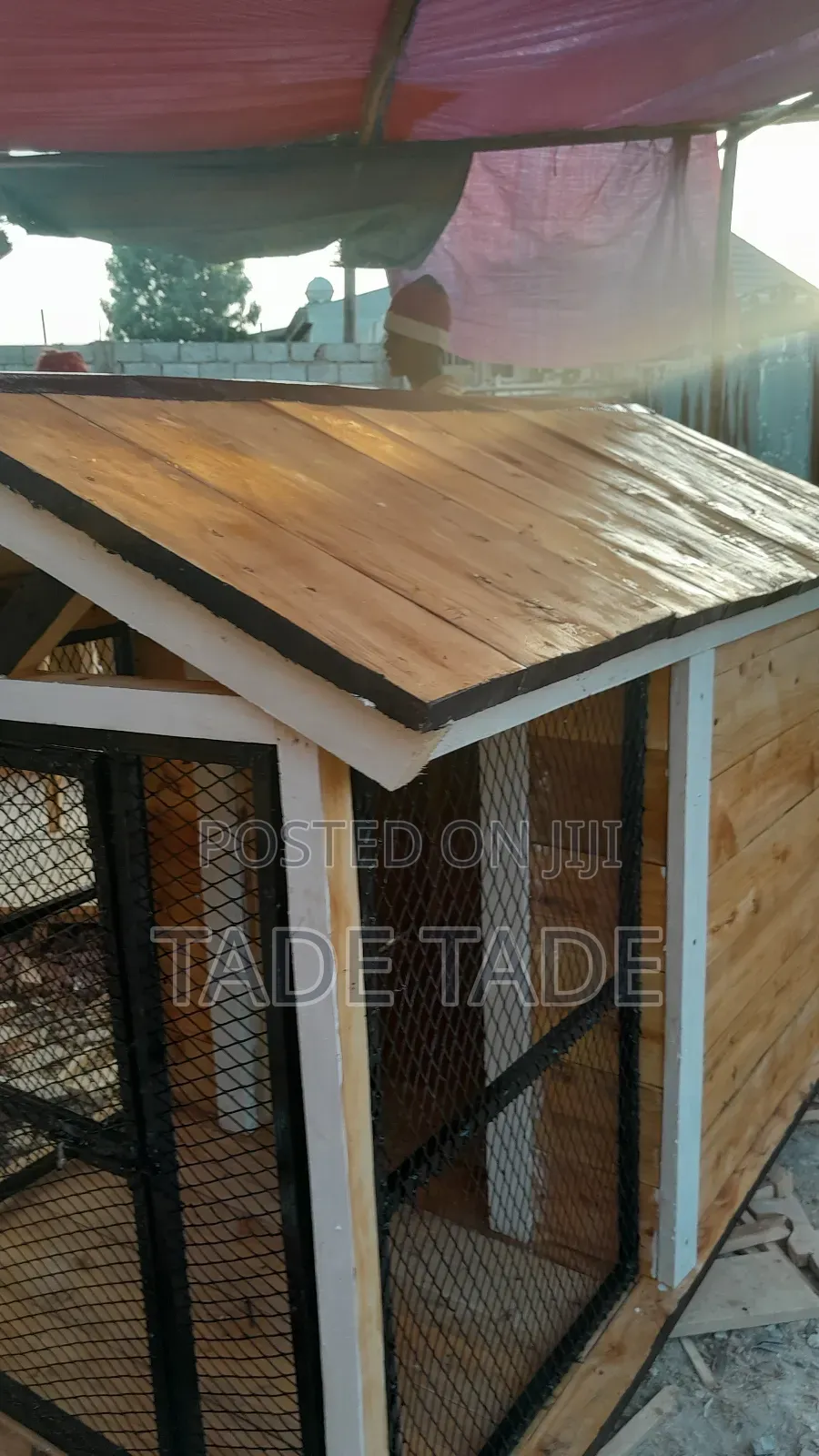 ጊዜውን የጠበቁ የውሻ ቤቶች