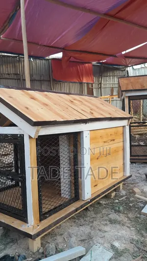 Kaleb & Sisters Dogs House Work Company