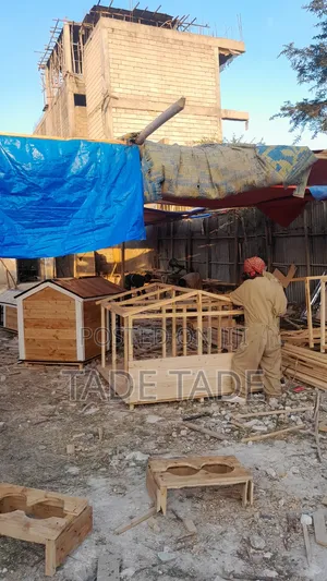 Photo - Solomon Dog House Work Addis Abeba