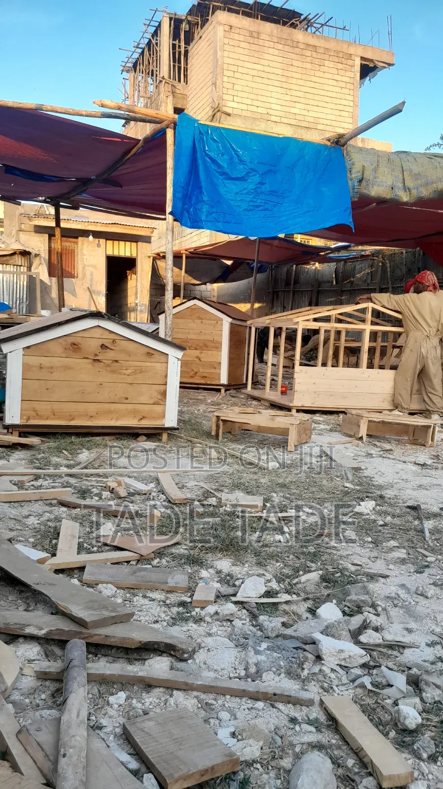 Solomon Dog House Work Addis Abeba