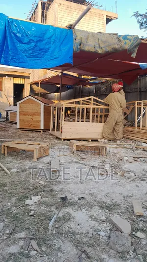 እጅግ ውበት ያላበሳቸው የውሻ ቤቶች