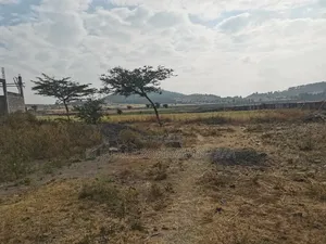 Photo - Megazen Shiyach Be Dukem