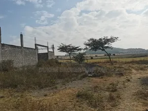 Megazen Shiyach Be Dukem