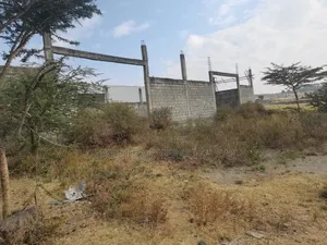 Megazen Shiyach Be Dukem