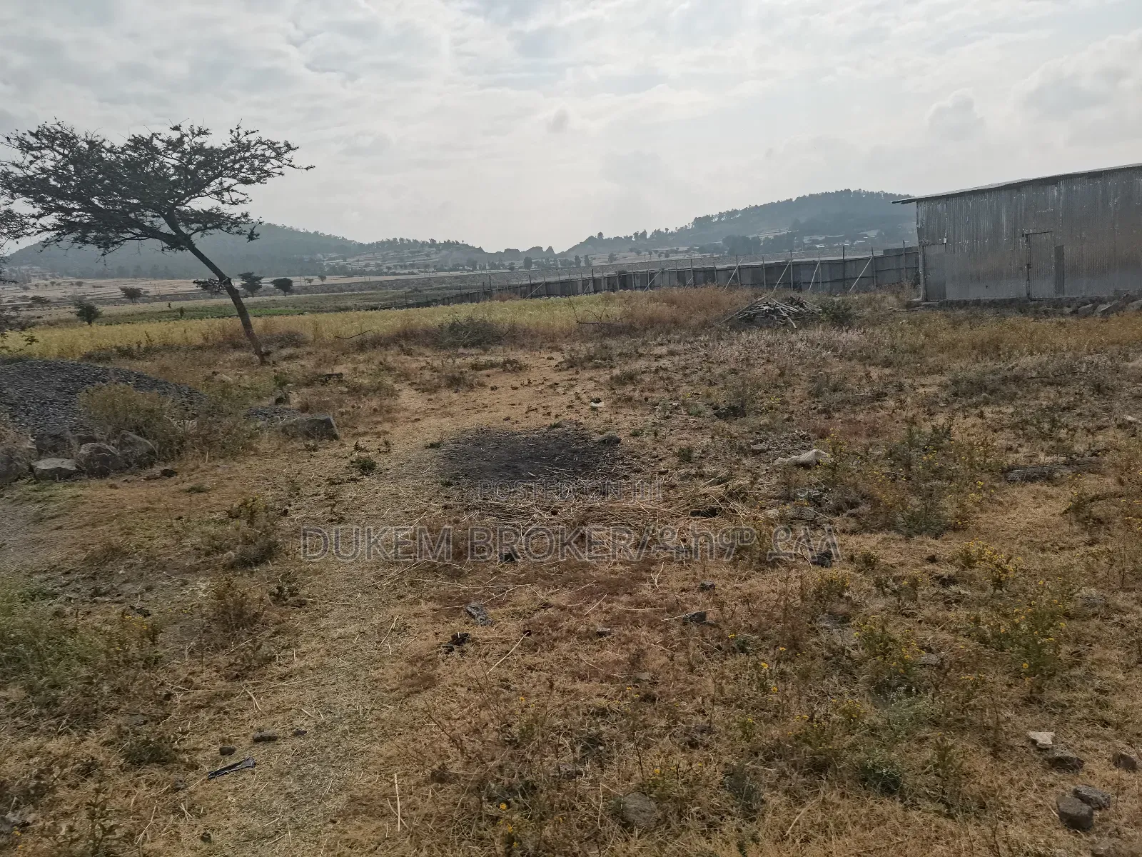 Megazen Shiyach Be Dukem