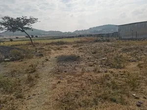 Megazen Shiyach Be Dukem