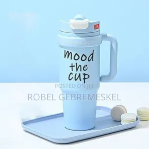 Double Layer Stainless Still Isolated Tumblers With Straw (Travel Cup)