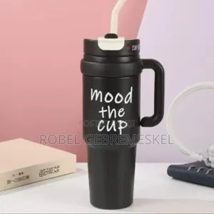 Double Layer Stainless Still Isolated Tumblers With Straw (Travel Cup)