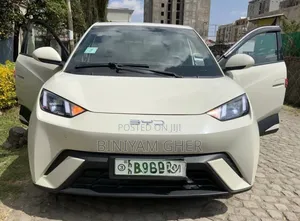 Photo - BYD Seagull 2025