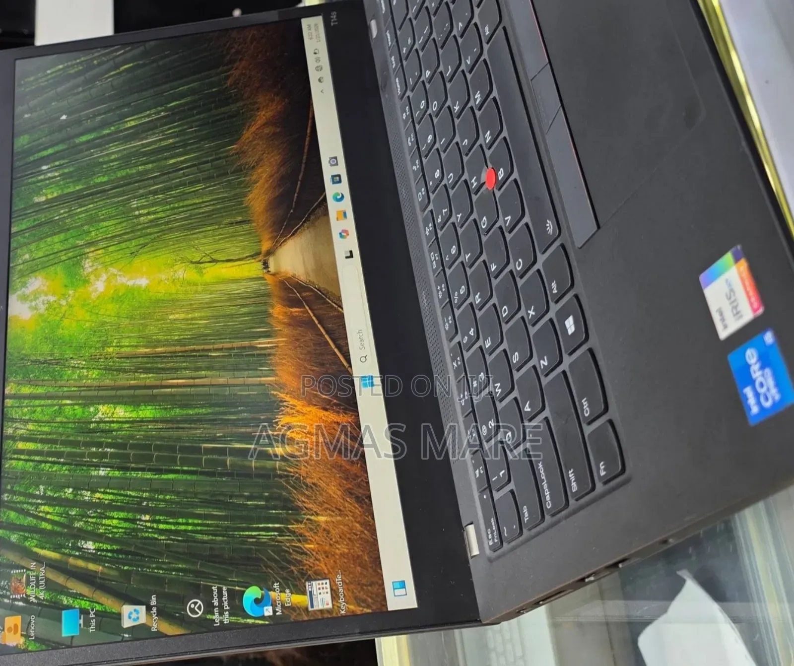 New Laptop Lenovo Thinkpad P14s 8GB Intel Core I5 SSD 512GB