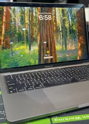New Laptop Apple MacBook Pro 2022 M2 16GB Apple M2 SSD 256GB