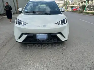 Photo - BYD Seagull 2025 White