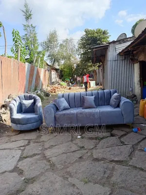 Photo - Ablation Sofa