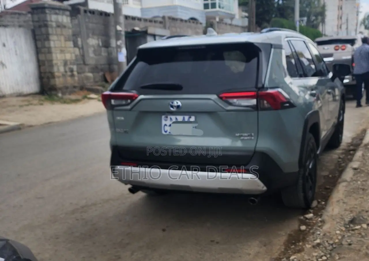 Toyota RAV4 XLE Premium 2022 Green