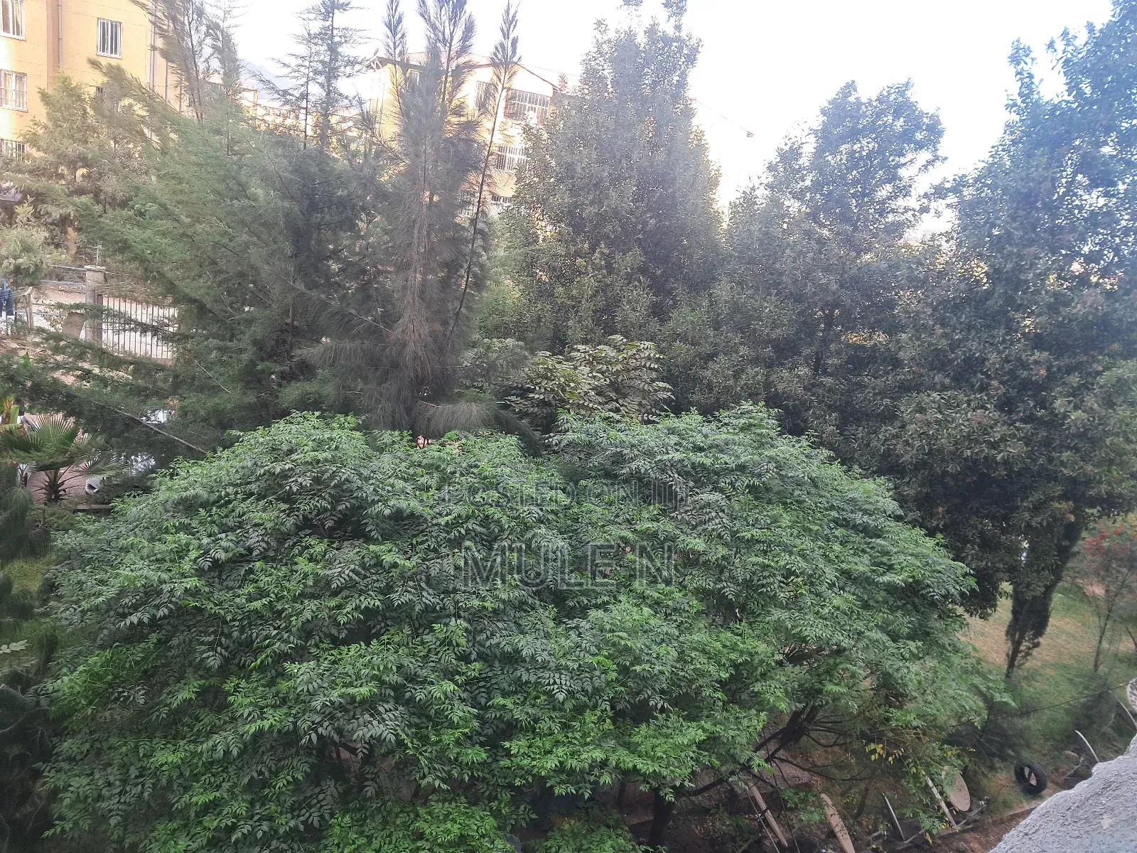 Furnished 1bdrm Condo in Abado Condominium, Yeka for sale