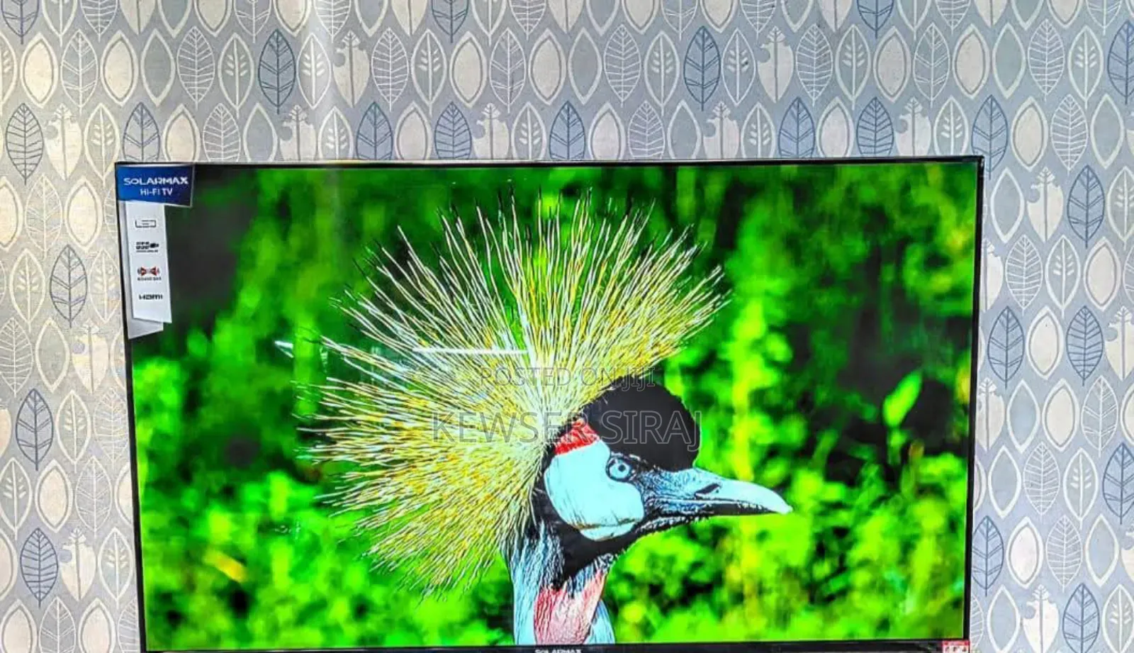 Eco Star 55inch Tv Smart We Bos