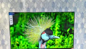 Eco Star 55inch Tv Smart We Bos