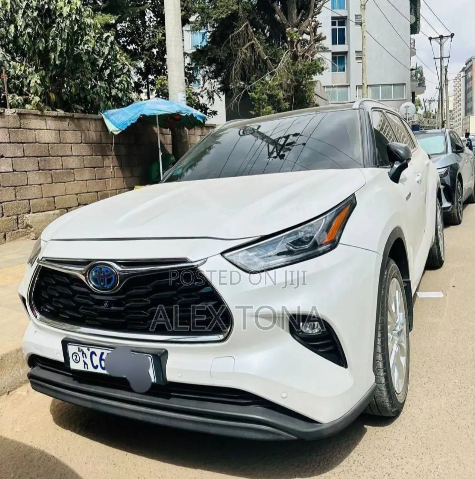 Toyota Highlander Hybrid 2024 White