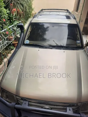 Toyota Land Cruiser 2003 Brown