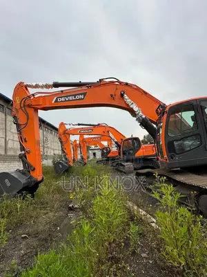 Photo - Develon Excavator