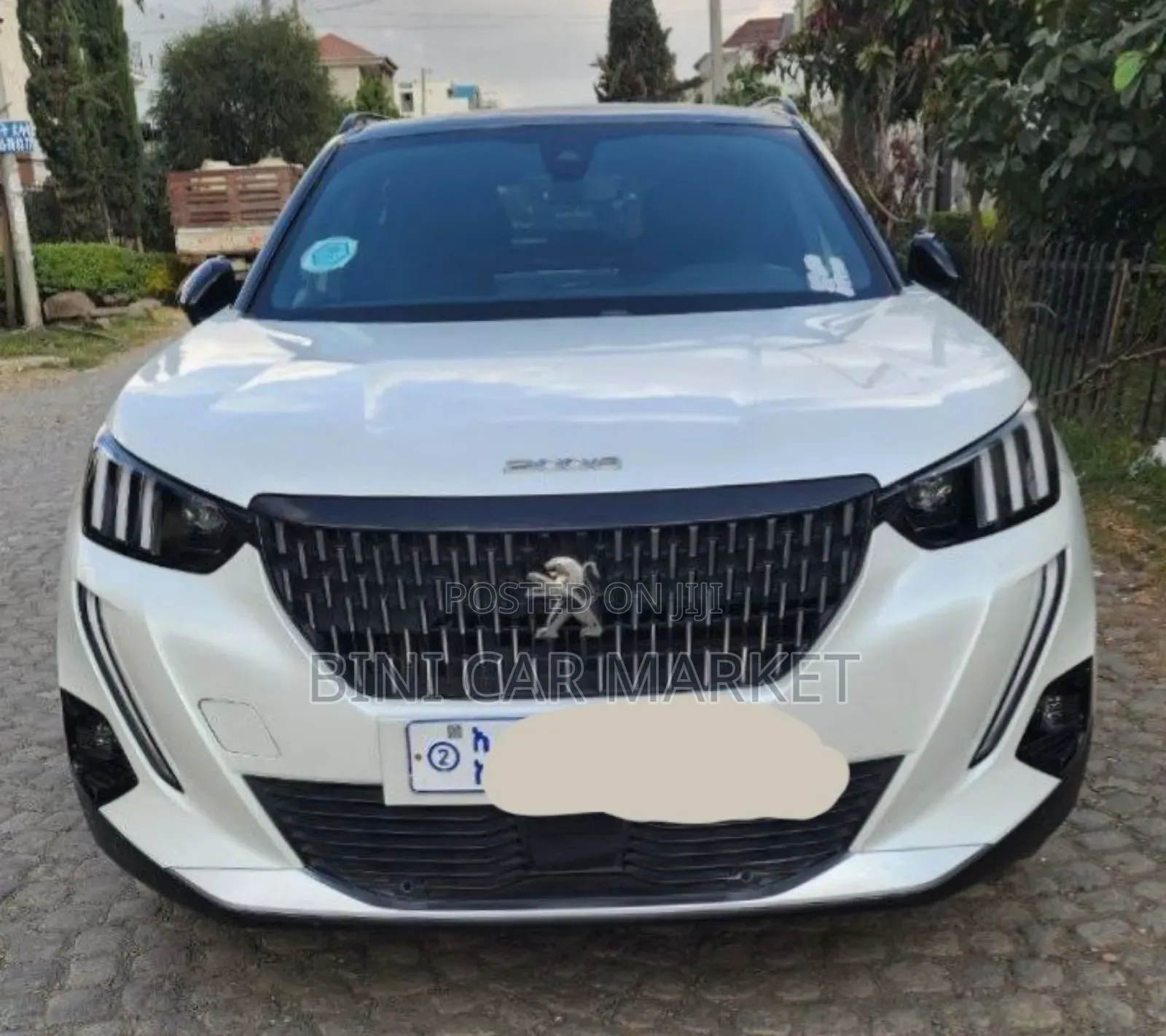 Peugeot 2008 2021 White
