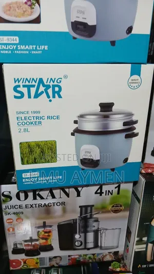 Winning Star 3.6 And 2.2 Electric Steamer Cooker