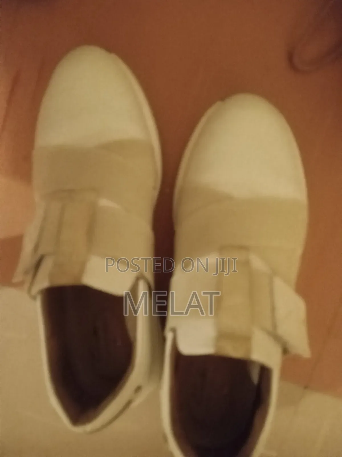 Shoes Bonda Original #36