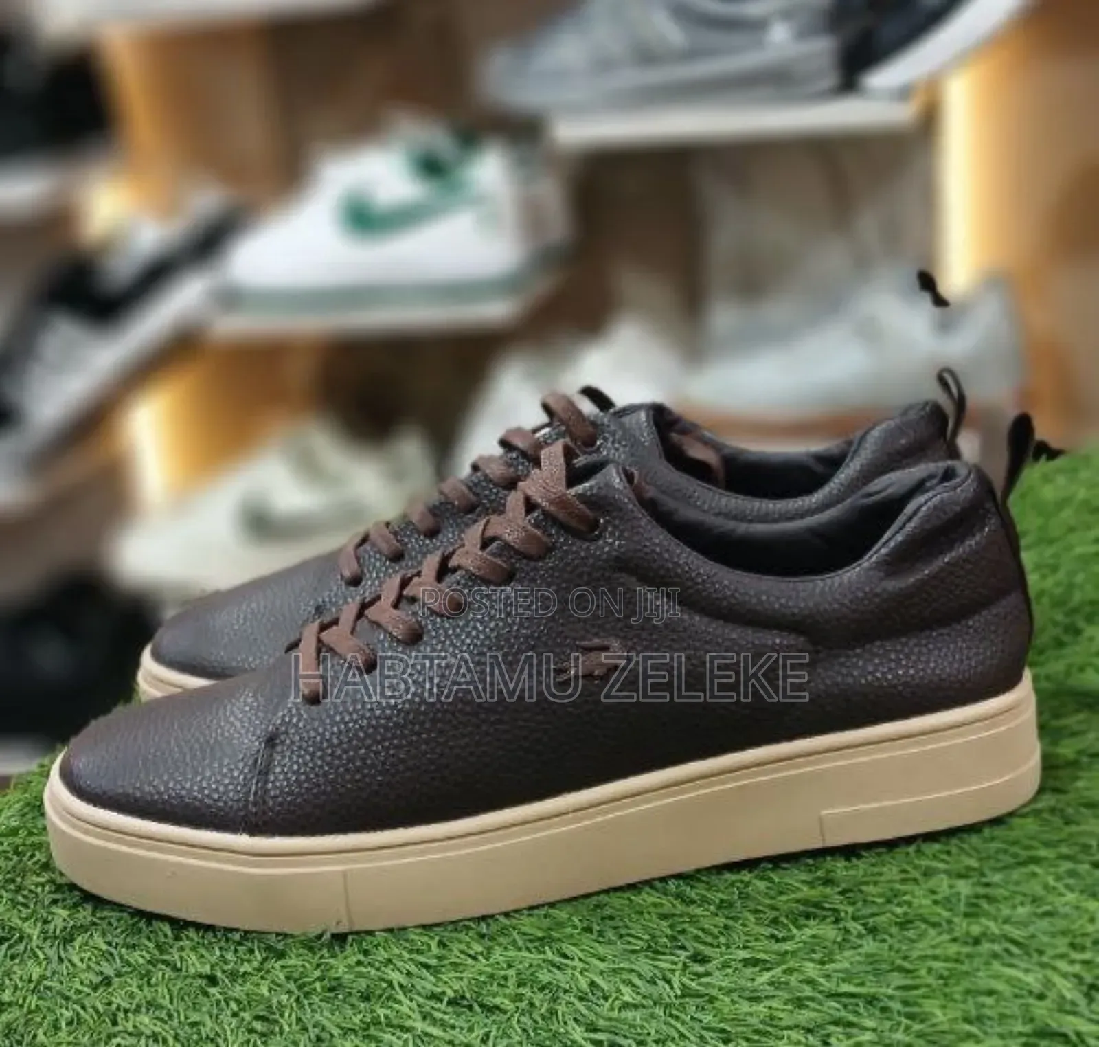 Lacoste Orginal Men's Shoe's