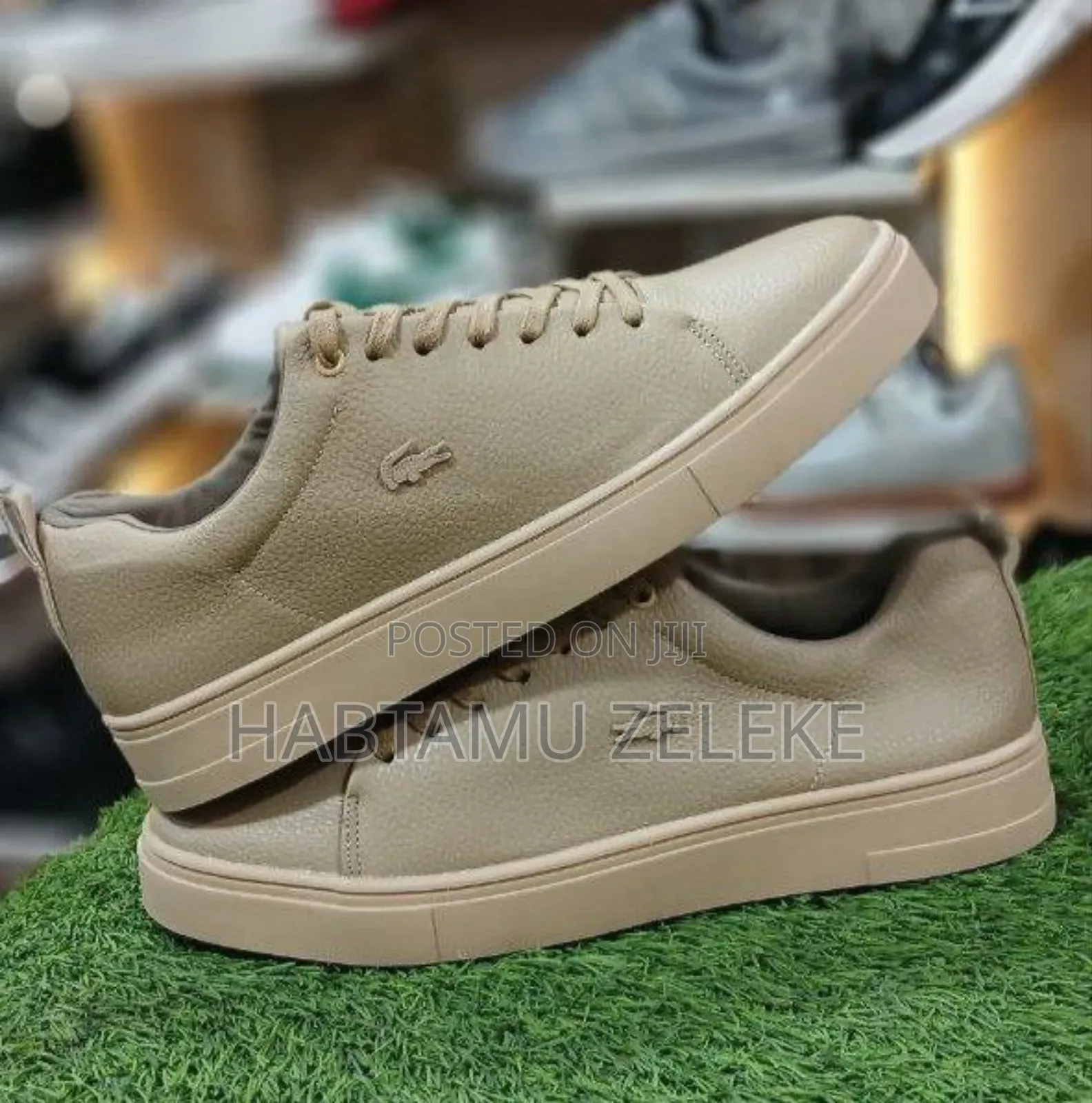 Lacoste Orginal Men's Shoe's