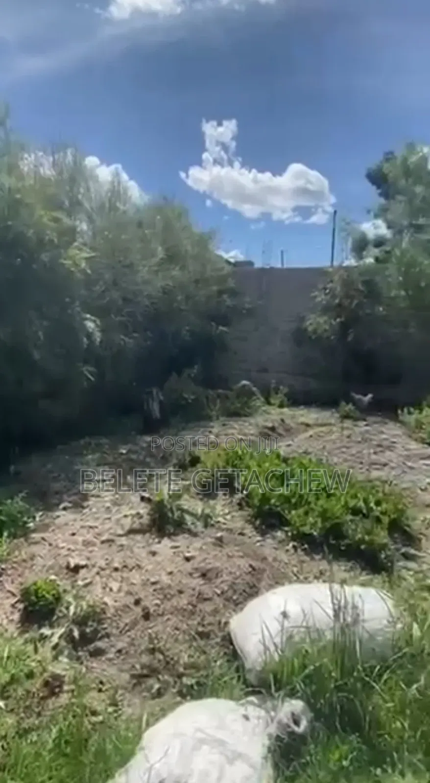 Ayat, Land for Sale 925sqm