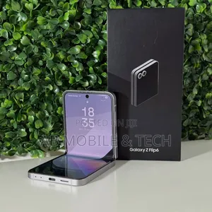 Samsung Galaxy Z Flip6 256 GB Silver