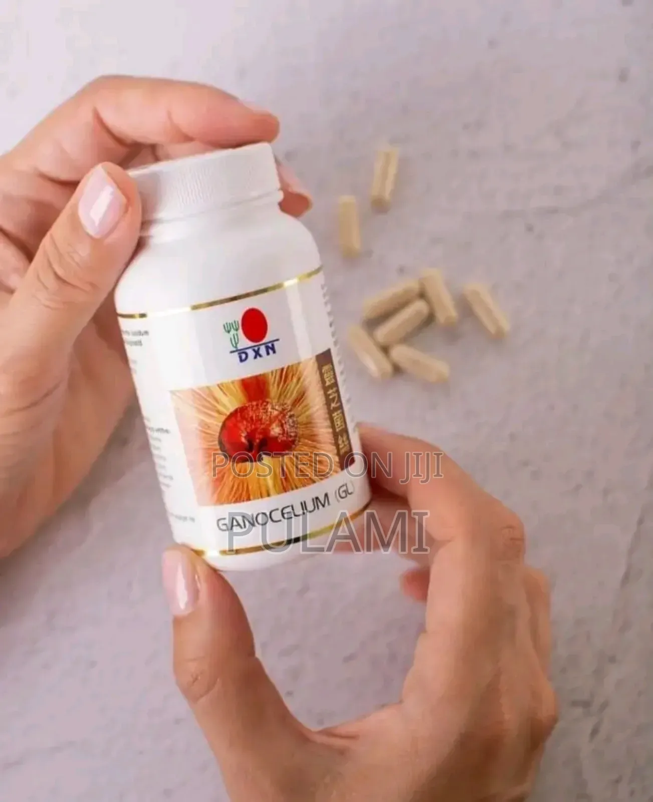 Ganocelium Mushroom ( G L )