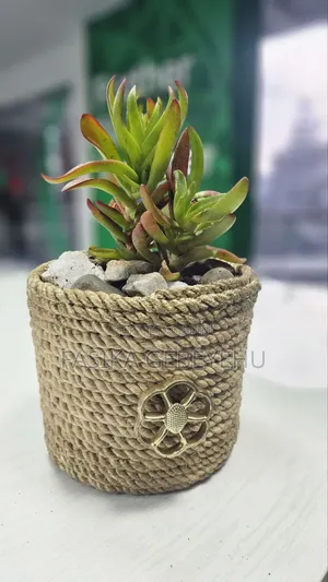 Photo - Flower Pot With Natural Flower for Home, Office