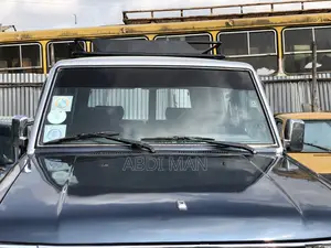 Toyota Land Cruiser 1991 Blue