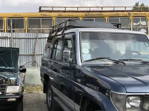 Toyota Land Cruiser 1991 Blue