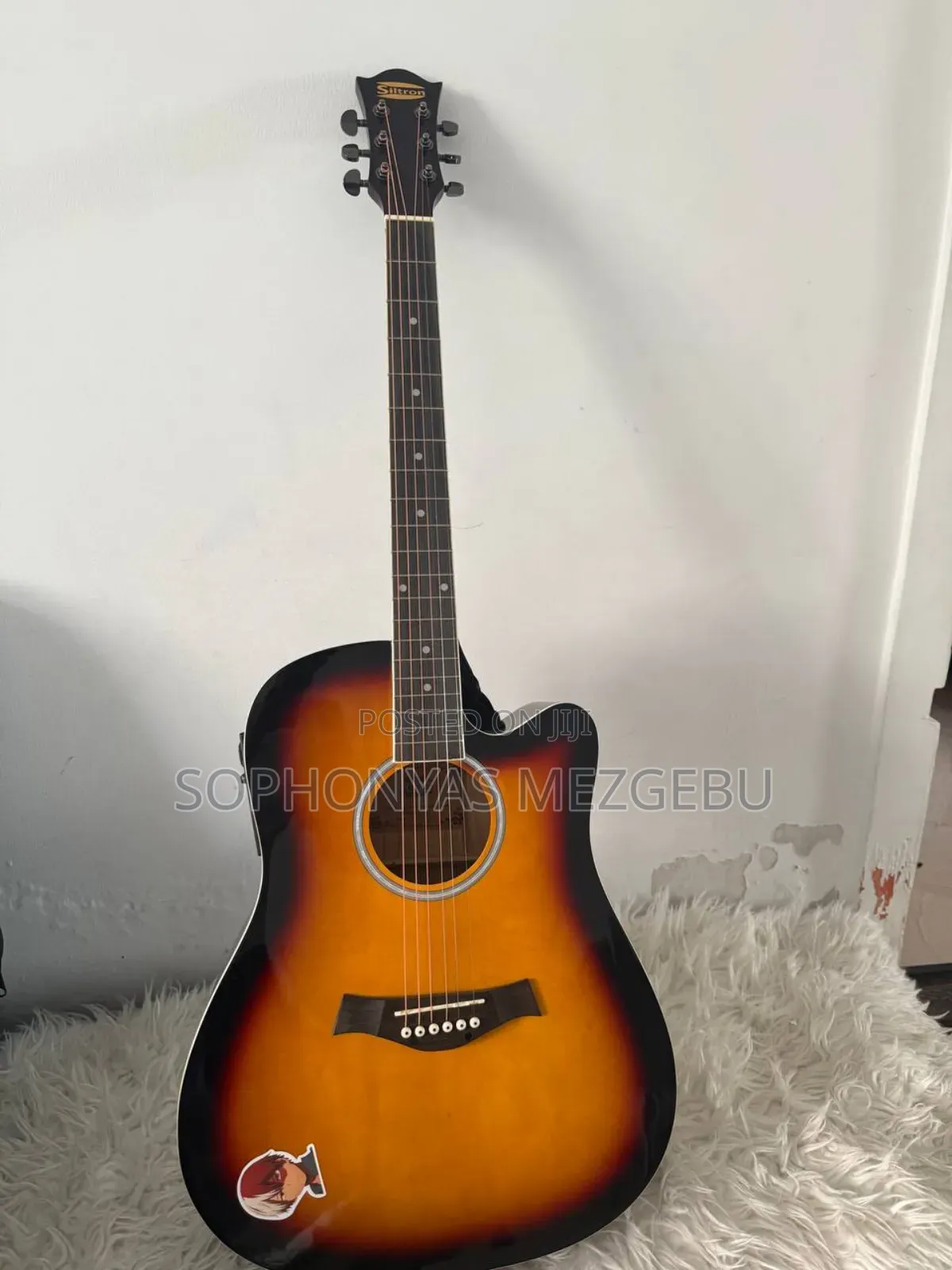 Guitar Acoustic With the Bag