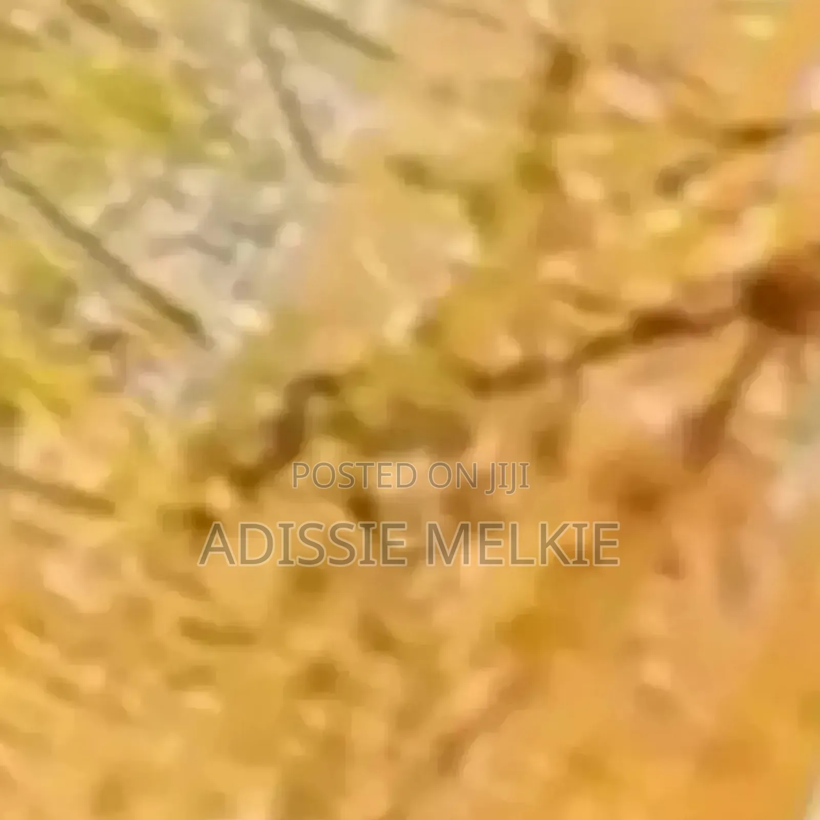 New Laptop Asus TUF Gaming A15 16GB Intel Core i5 SSD 512GB