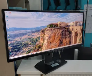 Dell 29" Inch Frameless Monitor