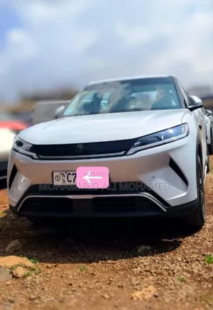 Photo - New BYD Yuan Up 2025 White