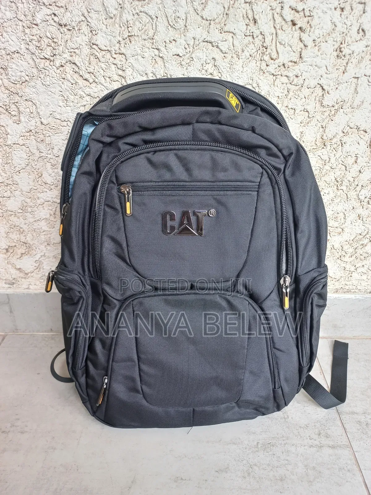 Cat Backpack Laptop Bag