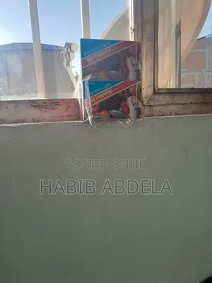 Photo - Big Powerfufor Health