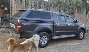 Toyota Hilux 2015 Gray