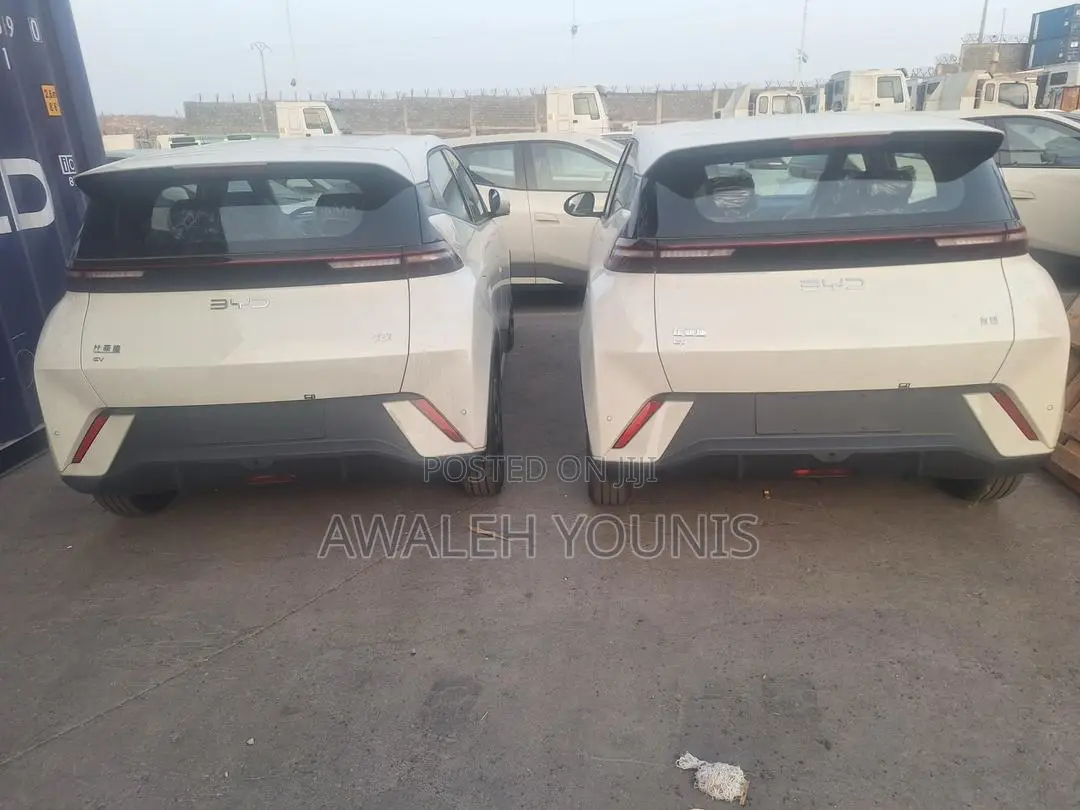 New BYD Seagull 2025 Off white