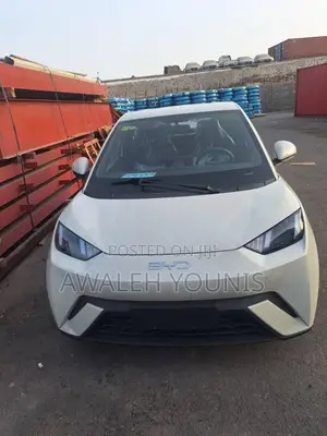 Photo - New BYD Seagull 2025 Off white