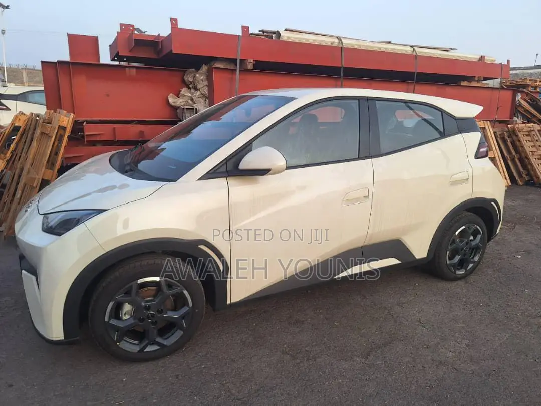 New BYD Seagull 2025 Off white